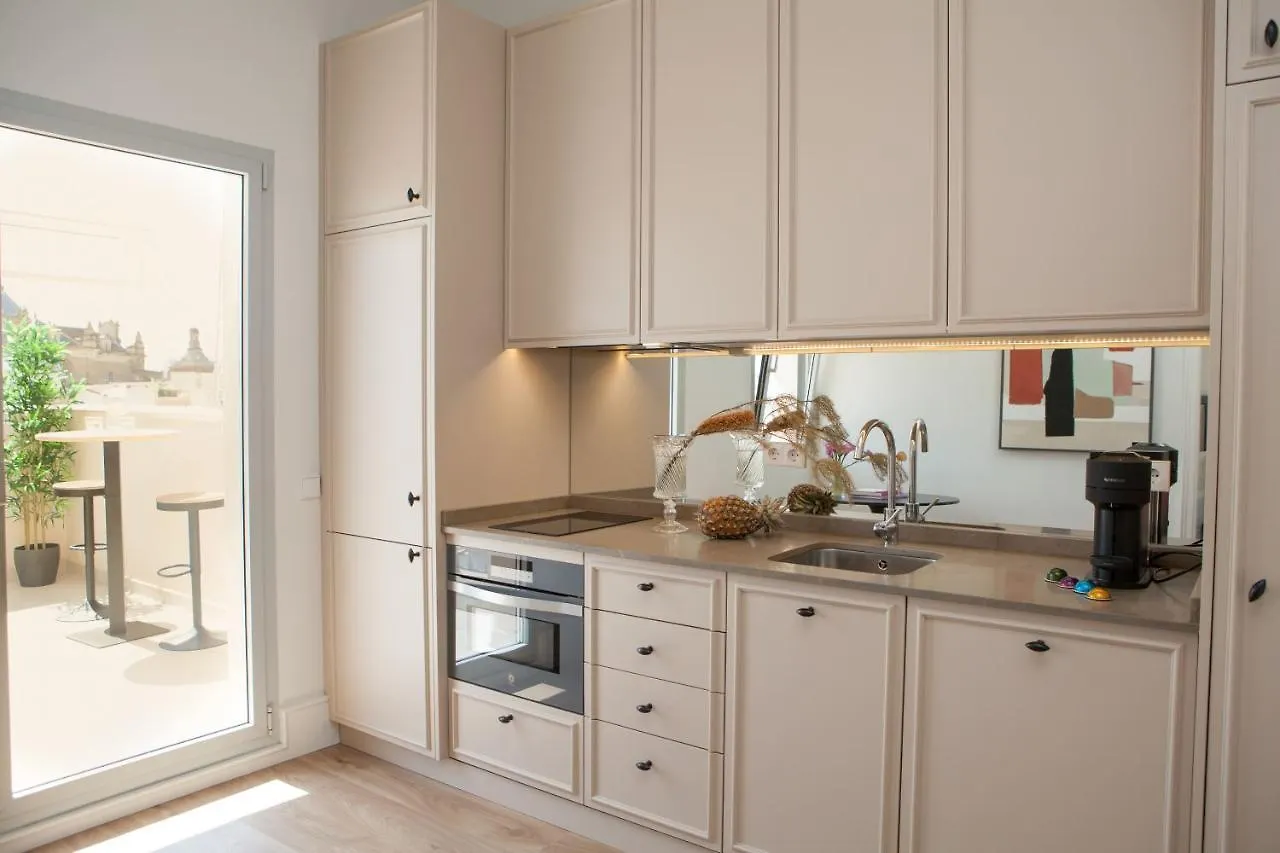 Isg Apartments Cedaceros 세비야